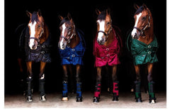 Back on Track Therapeutic Mesh Rug