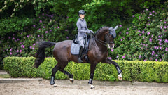 Lemieux Loire Classic Dressage Square
