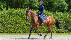 LeMieux Suede Close Contact Square