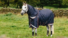 LeMieux Kudos Turnout Rug 100g