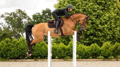 LeMieux Crystal Suede Close Contact Square