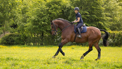 LeMieux Dressage Work Pad