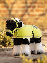 LeMieux Toy Pony Razzle