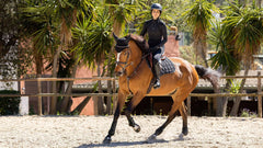 Lemieux Carbon Mesh Close Contact Square