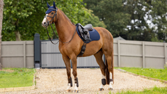 Lemieux Soft Shell Anti Slip Close Contact Square