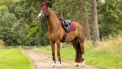 Lemieux Soft Shell Anti Slip Close Contact Square