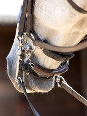 LeMieux Curb Chain Guard