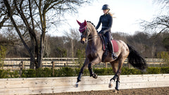 Lemieux Soft Shell Anti Slip Dressage Square