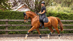 Lemieux Soft Shell Anti Slip Dressage Square