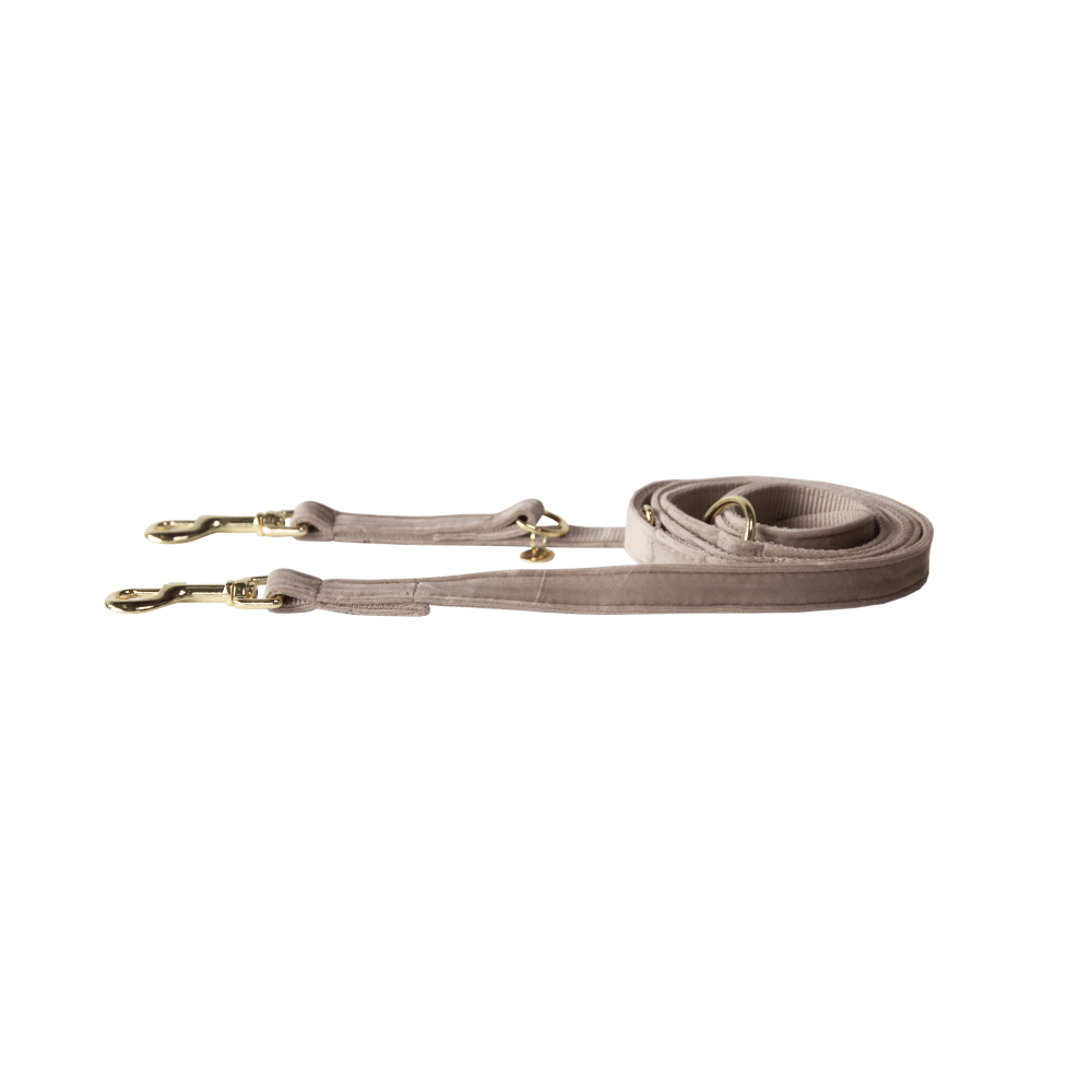 Kentucky Horsewear Dog Lead Velvet