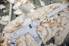 Kentucky Horsewear Dog Lead Velvet