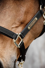 Kentucky Horsewear Nylon Anatomic Halter