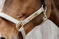 Kentucky Horsewear Nylon Anatomic Halter