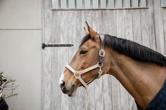 Kentucky Horsewear Nylon Anatomic Halter
