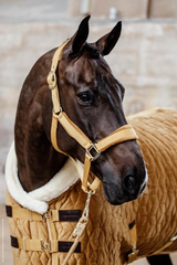 Kentucky Horsewear Show Rug Velvet