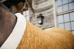 Kentucky Horsewear Show Rug Velvet