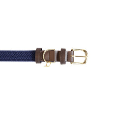 Kentucky Horsewear Plaited Nylon Dog Collar