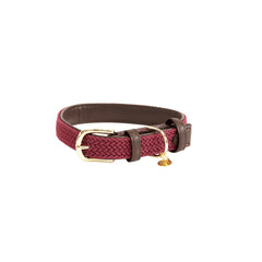 Kentucky Horsewear Plaited Nylon Dog Collar