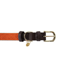 Kentucky Horsewear Plaited Nylon Dog Collar