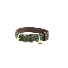 Kentucky Horsewear Plaited Nylon Dog Collar