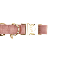 Kentucky Horsewear Dog Collar Velvet