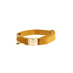 Kentucky Horsewear Dog Collar Velvet