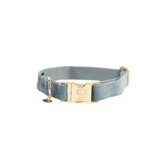 Kentucky Horsewear Dog Collar Velvet