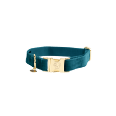 Kentucky Horsewear Dog Collar Velvet