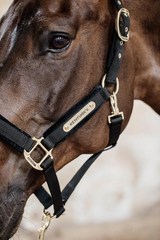 Kentucky Horsewear Velvet Halter