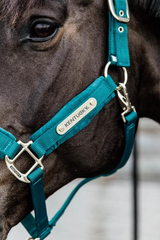 Kentucky Horsewear Velvet Halter