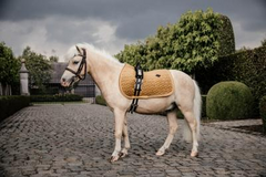 Kentucky Horsewear Saddle Pad Velvet Jumping