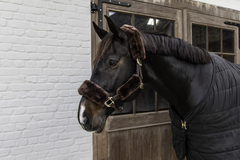 Kentucky Sheepskin Halter Set Of 4