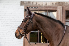 Kentucky Horsewear Fly Veil Wellington