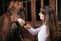 Kentucky Horsewear Overall Brush Soft