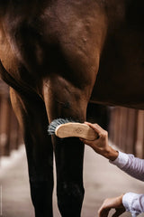 Kentucky Horsewear Middle Hard Brush