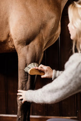 Kentucky Horsewear Middle Hard Brush