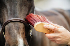 Grooming Deluxe Middle Brush Long