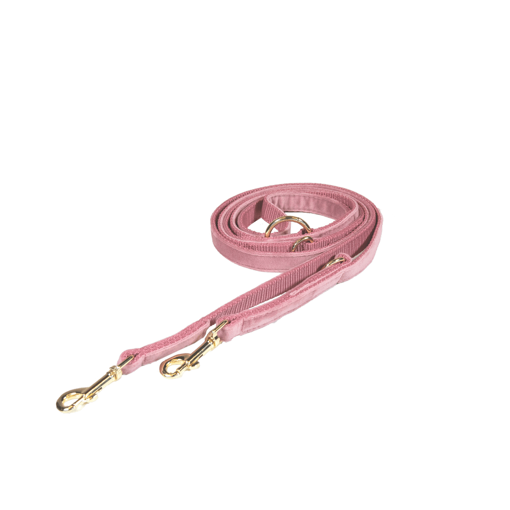 Kentucky Horsewear Dog Lead Velvet Black Size S