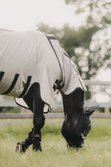 Kentucky Horsewear Mesh Fly Rug