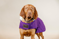 Kentucky Horsewear Dog Coat Original