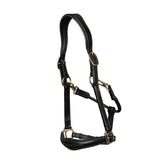 Dy'on D Collection Leather Head Collar