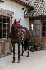 Kentucky Horsewear Young Horse Fetlock Boots