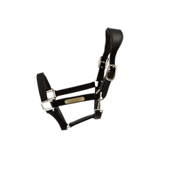 Kentucky Horsewear Nylon Anatomic Halter