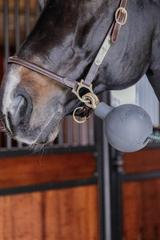 Kentucky Horsewear Rubber Ball Protection Wall & Lead