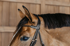 Dy'on D Collection Braided Flash Noseband Bridle