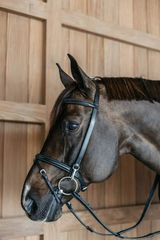 Dy'on Working Collection Training Bridle