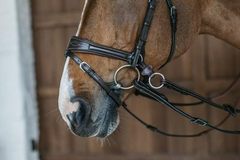 Dy'on Working Collection Working Motion Bridle