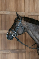 Dy'on Working Collection Flash Noseband Bridle with Snap Cheekpieces
