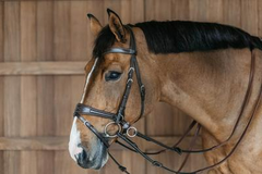 Dy'on Working Collection Working Motion Bridle