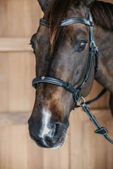 Dy'on Working Collection Bitless Bridle